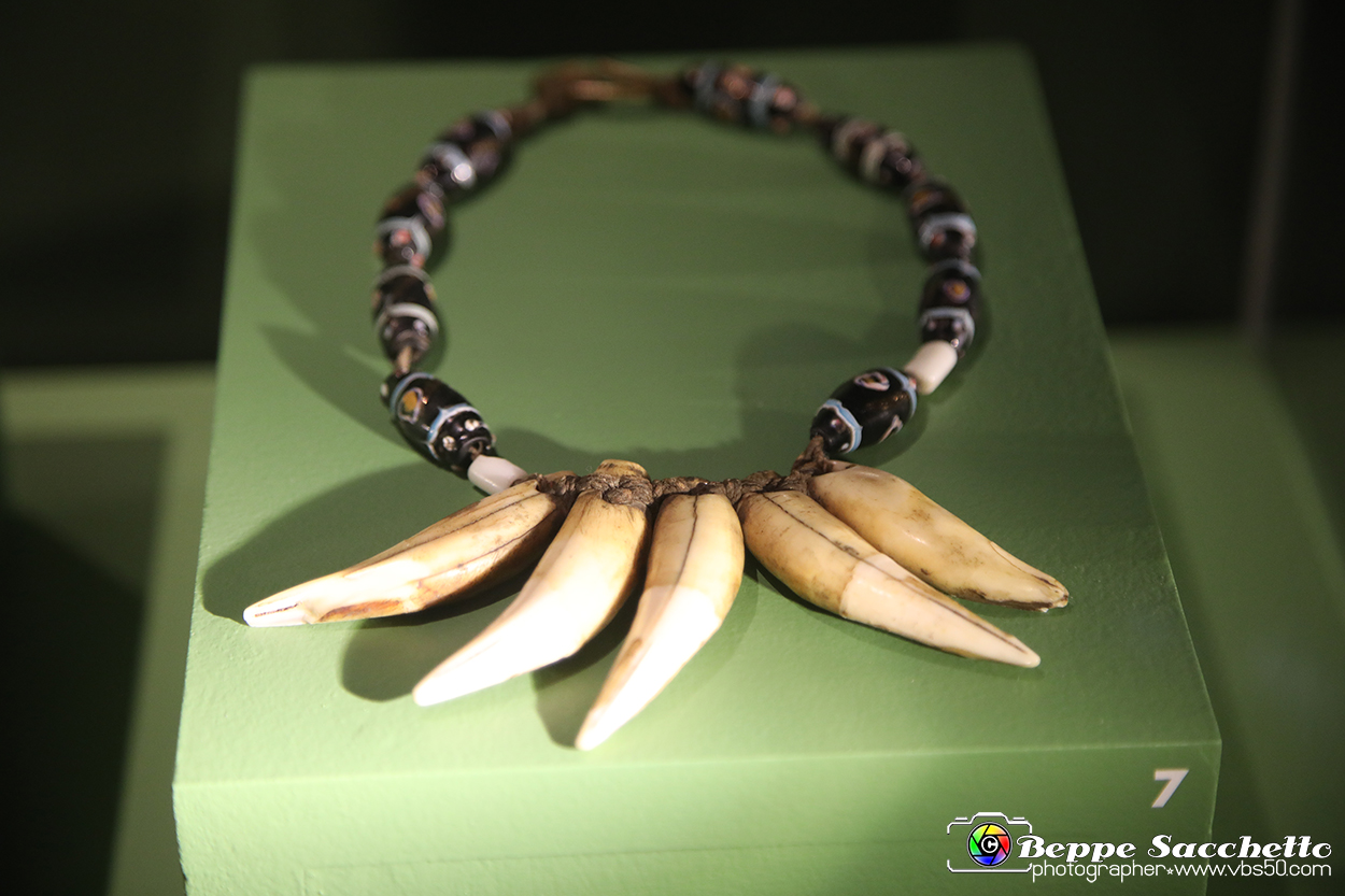 VBS_5407 - Africa - Le collezioni dimenticate.jpg